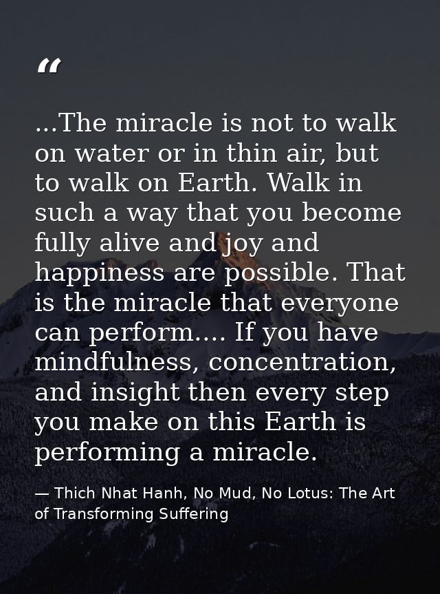...The miracle is not to walk on water or in thin air, but to walk on Earth. Walk in such a way that you become fully al — Thich Nhat Hanh, No Mud, No Lotus: The Art of Transforming Suffering