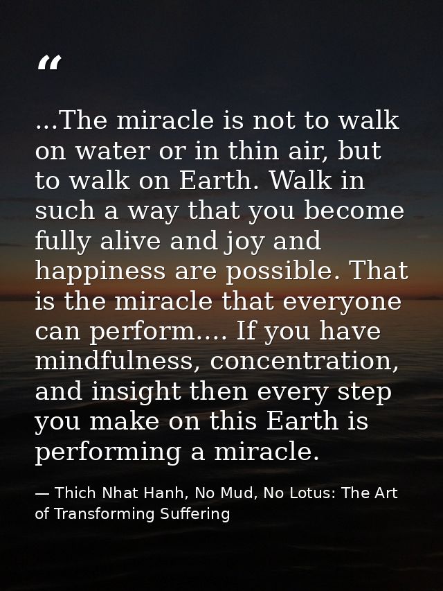 ...The miracle is not to walk on water or in thin air, but to walk on Earth. Walk in such a way that you become fully al — Thich Nhat Hanh, No Mud, No Lotus: The Art of Transforming Suffering