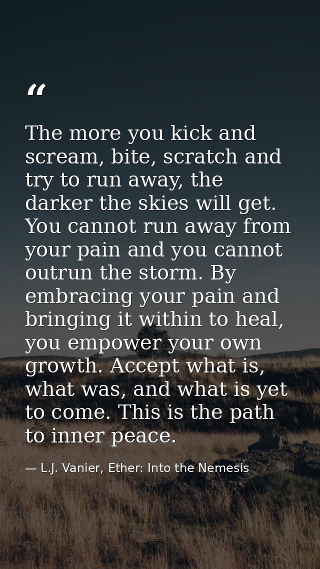 The more you kick and scream, bite, scratch and try to run away, the darker the skies will get. You cannot run away from — L.J. Vanier, Ether: Into the Nemesis