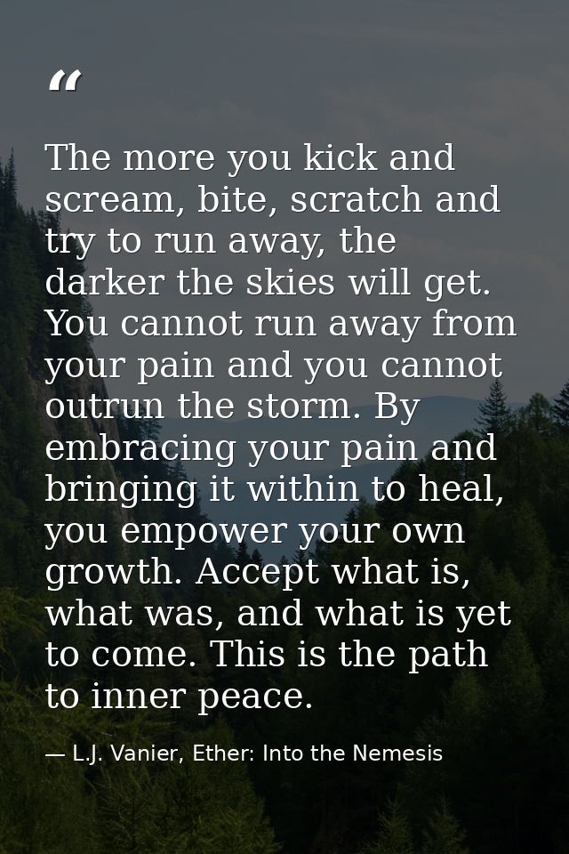 The more you kick and scream, bite, scratch and try to run away, the darker the skies will get. You cannot run away from — L.J. Vanier, Ether: Into the Nemesis