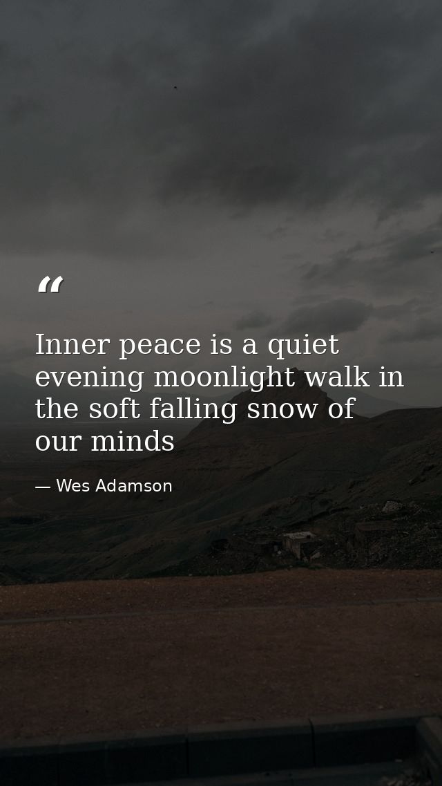 Inner peace is a quiet evening moonlight walk in the soft falling snow of our minds — Wes Adamson