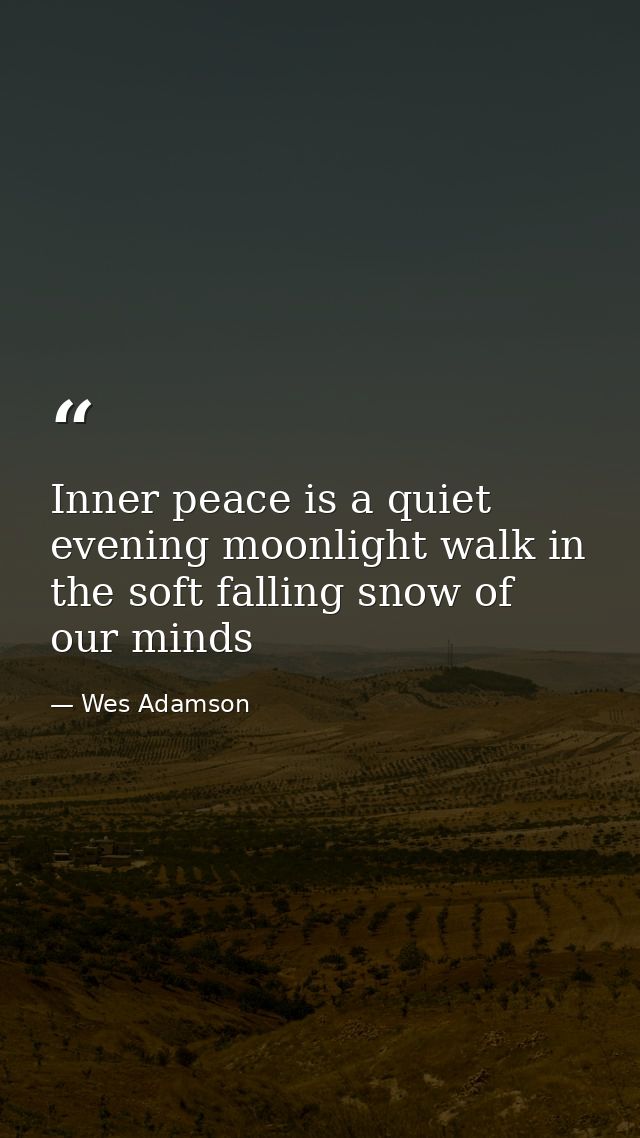 Inner peace is a quiet evening moonlight walk in the soft falling snow of our minds — Wes Adamson