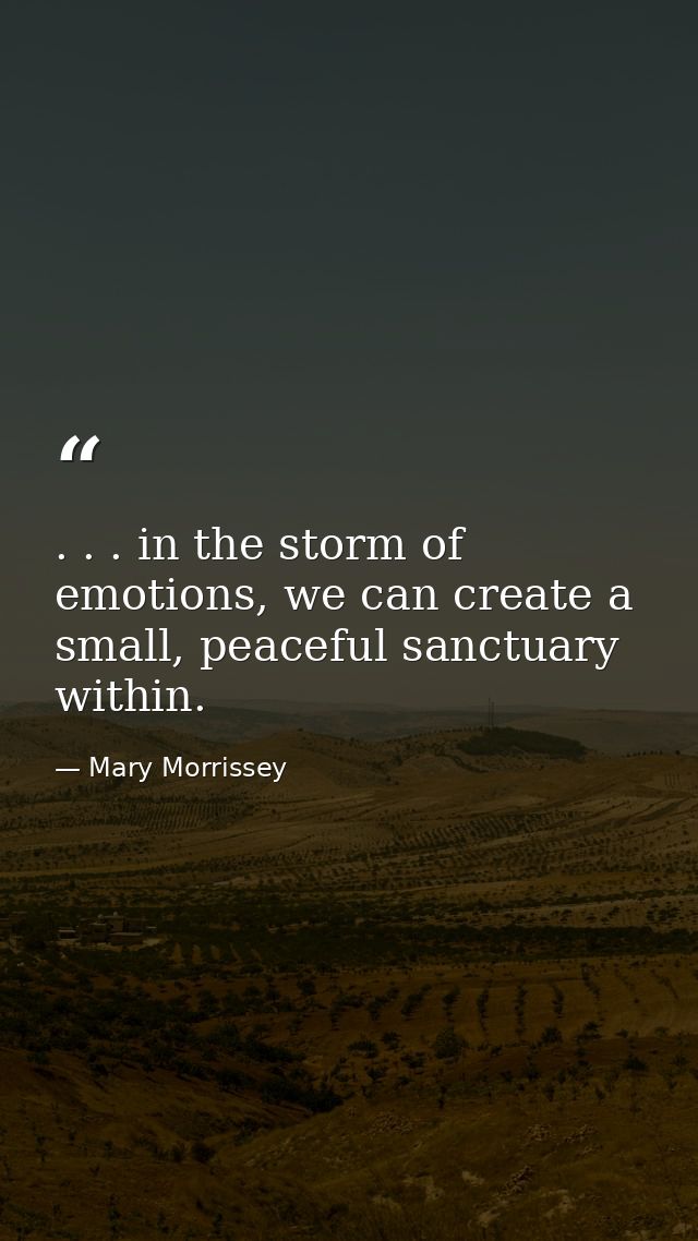. . . in the storm of emotions, we can create a small, peaceful sanctuary within. — Mary Morrissey