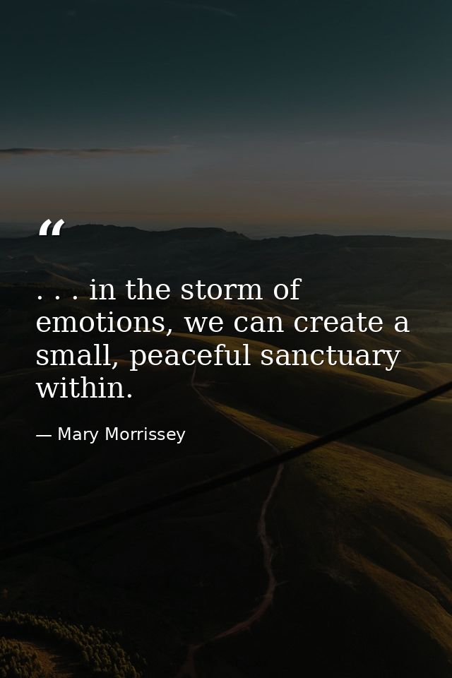 . . . in the storm of emotions, we can create a small, peaceful sanctuary within. — Mary Morrissey