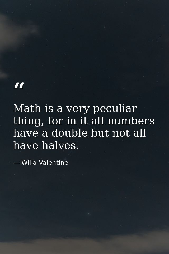 Math is a very peculiar thing, for in it all numbers have a double but not all have halves. — Willa Valentine