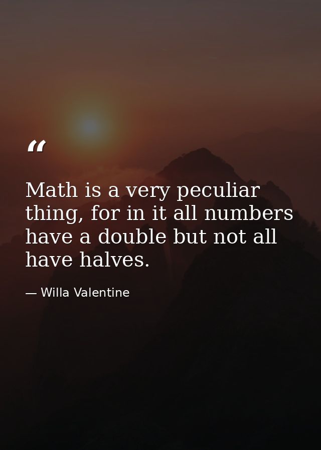 Math is a very peculiar thing, for in it all numbers have a double but not all have halves. — Willa Valentine