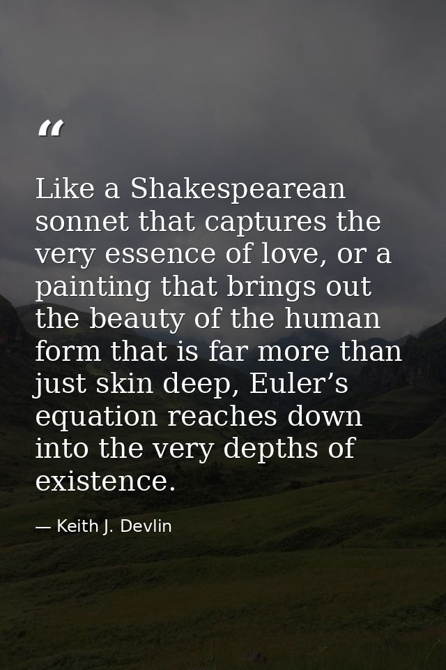 Like a Shakespearean sonnet that captures the very essence of love, or a painting that brings out the beauty of the huma — Keith J. Devlin