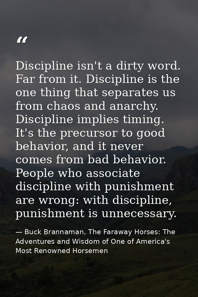 Discipline isn't a dirty word. Far from it. Discipline is the one thing that separates us from chaos and anarchy. Discip — Buck Brannaman, The Faraway Horses: The Adventures and Wisdom of One of America's Most Renowned Horsemen