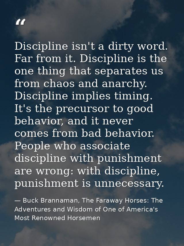 Discipline isn't a dirty word. Far from it. Discipline is the one thing that separates us from chaos and anarchy. Discip — Buck Brannaman, The Faraway Horses: The Adventures and Wisdom of One of America's Most Renowned Horsemen