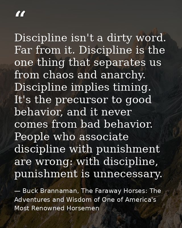 Discipline isn't a dirty word. Far from it. Discipline is the one thing that separates us from chaos and anarchy. Discip — Buck Brannaman, The Faraway Horses: The Adventures and Wisdom of One of America's Most Renowned Horsemen