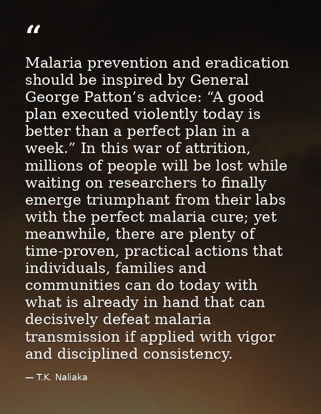 Malaria prevention and eradication should be inspired by General George Patton’s advice: “A good plan executed violently — T.K. Naliaka