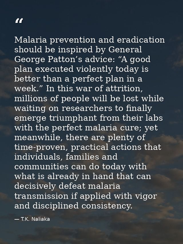 Malaria prevention and eradication should be inspired by General George Patton’s advice: “A good plan executed violently — T.K. Naliaka
