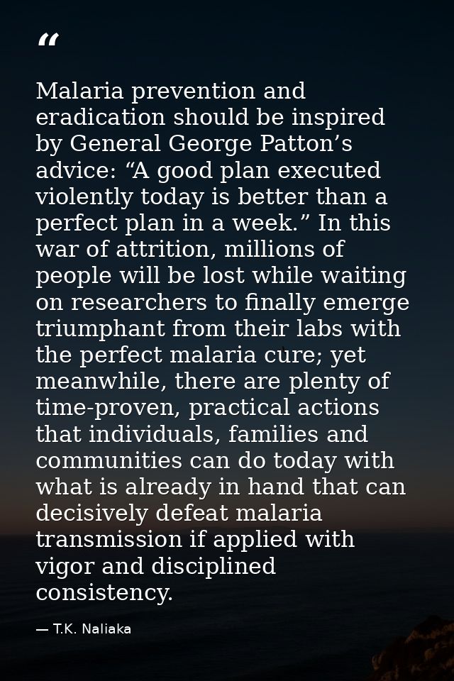 Malaria prevention and eradication should be inspired by General George Patton’s advice: “A good plan executed violently — T.K. Naliaka