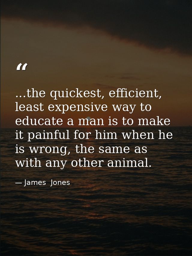 ...the quickest, efficient, least expensive way to educate a man is to make it painful for him when he is wrong, the sam — James  Jones