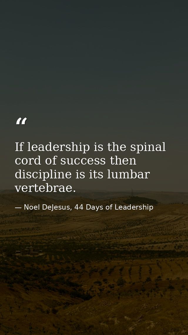 If leadership is the spinal cord of success then discipline is its lumbar vertebrae. — Noel DeJesus, 44 Days of Leadership