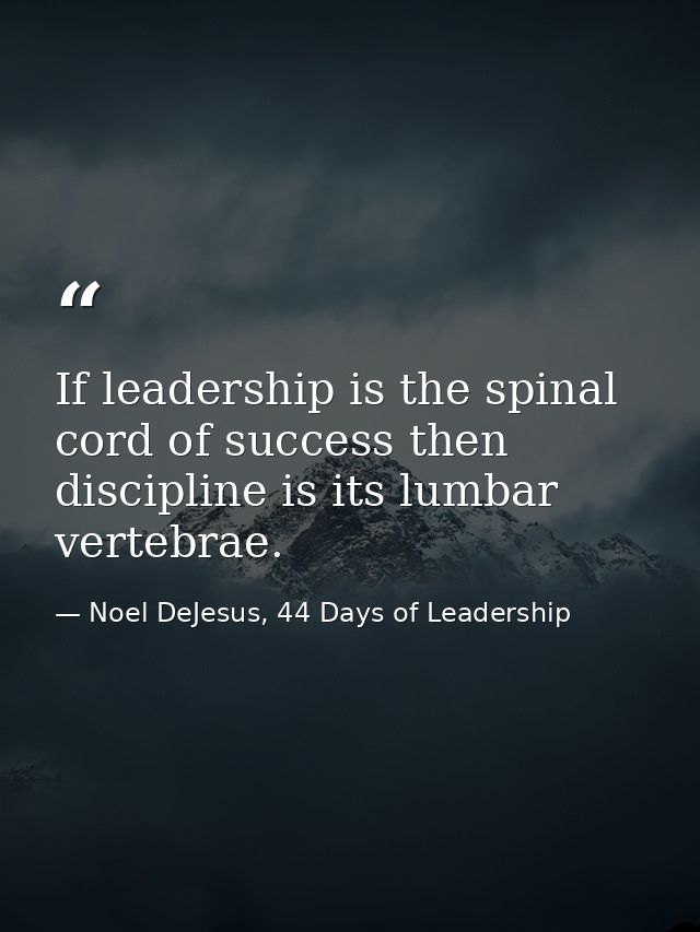 If leadership is the spinal cord of success then discipline is its lumbar vertebrae. — Noel DeJesus, 44 Days of Leadership