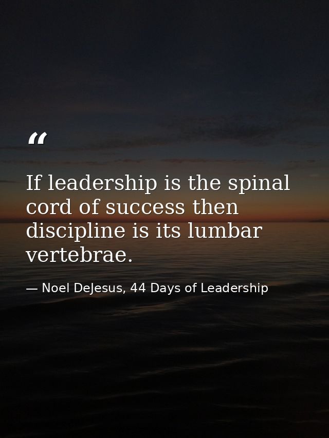 If leadership is the spinal cord of success then discipline is its lumbar vertebrae. — Noel DeJesus, 44 Days of Leadership