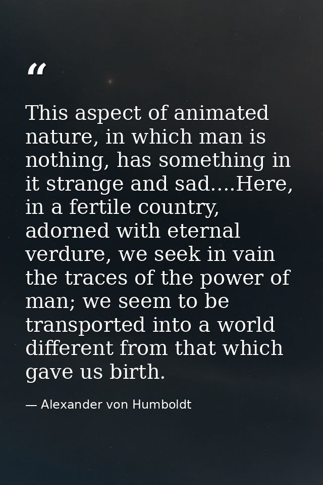 This aspect of animated nature, in which man is nothing, has something in it strange and sad....Here, in a fertile count — Alexander von Humboldt