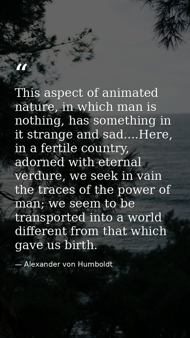 This aspect of animated nature, in which man is nothing, has something in it strange and sad....Here, in a fertile count — Alexander von Humboldt