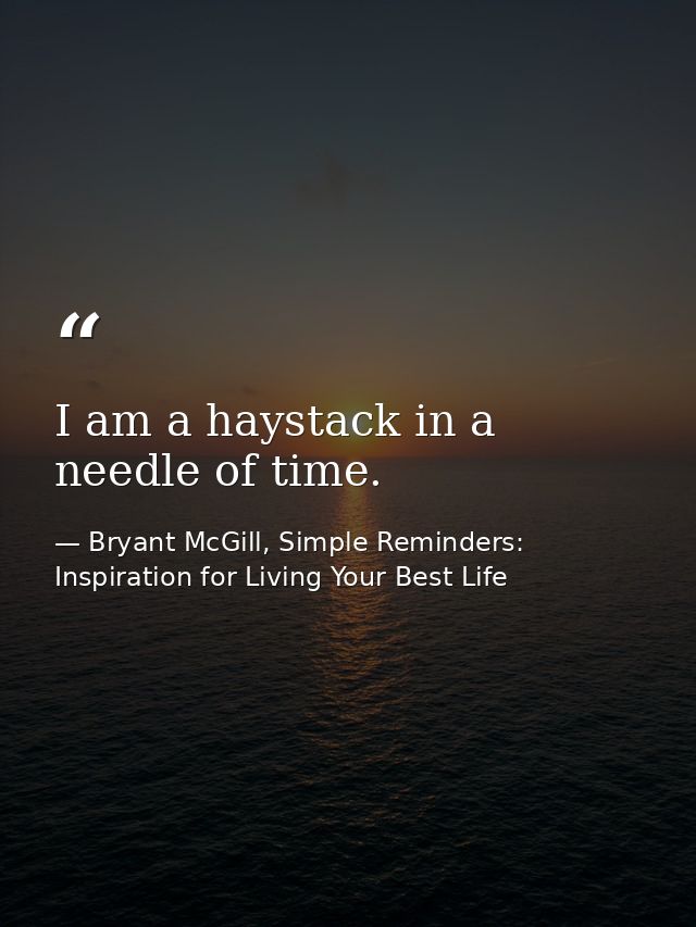 I am a haystack in a needle of time. — Bryant McGill, Simple Reminders: Inspiration for Living Your Best Life