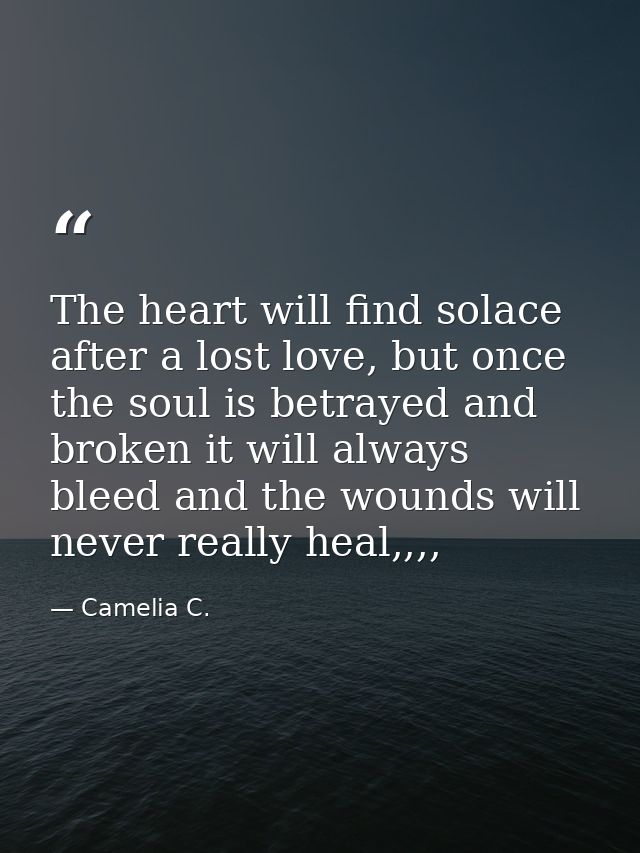 The heart will find solace after a lost love, but once the soul is betrayed and broken it will always bleed and the woun — Camelia C.