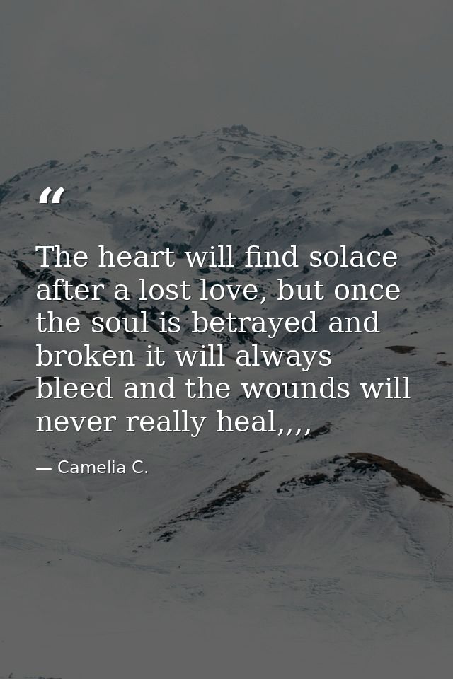 The heart will find solace after a lost love, but once the soul is betrayed and broken it will always bleed and the woun — Camelia C.