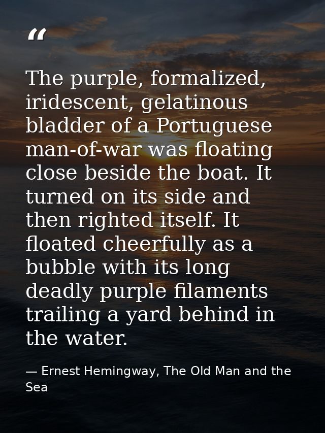 The purple, formalized, iridescent, gelatinous bladder of a Portuguese man-of-war was floating close beside the boat. It — Ernest Hemingway, The Old Man and the Sea