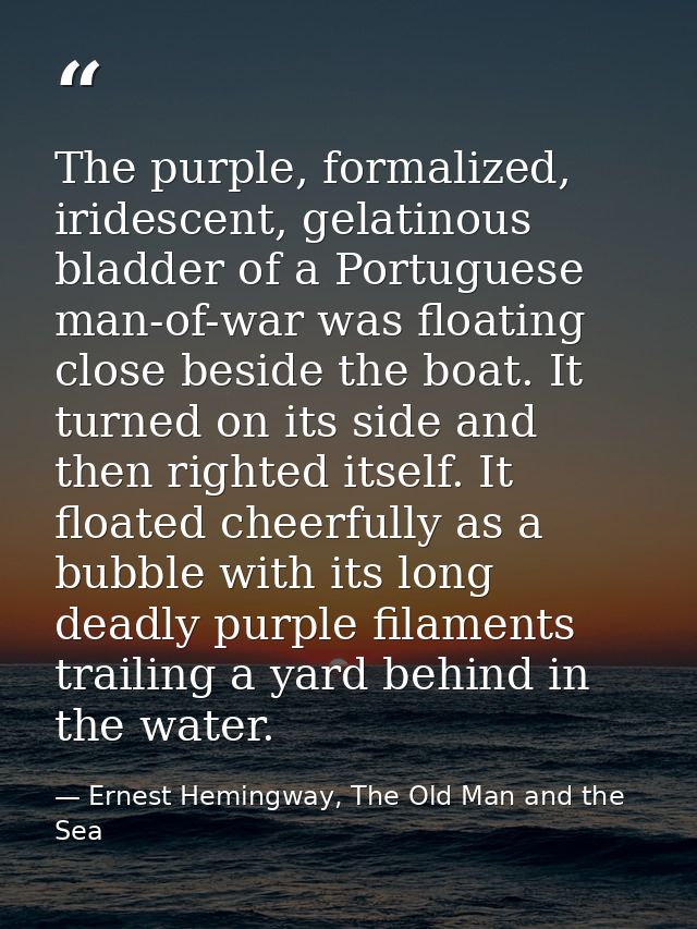 The purple, formalized, iridescent, gelatinous bladder of a Portuguese man-of-war was floating close beside the boat. It — Ernest Hemingway, The Old Man and the Sea