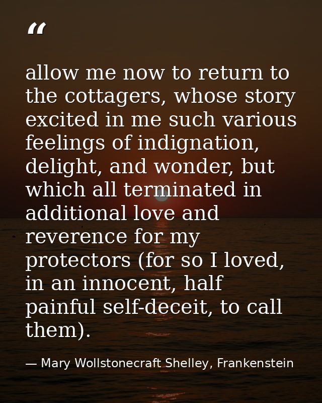 allow me now to return to the cottagers, whose story excited in me such various feelings of indignation, delight, and wo — Mary Wollstonecraft Shelley, Frankenstein
