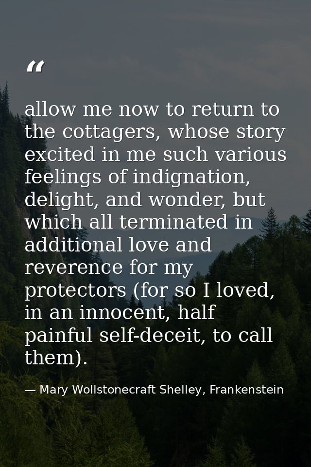 allow me now to return to the cottagers, whose story excited in me such various feelings of indignation, delight, and wo — Mary Wollstonecraft Shelley, Frankenstein