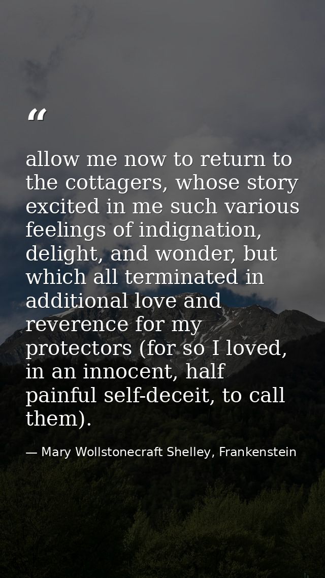 allow me now to return to the cottagers, whose story excited in me such various feelings of indignation, delight, and wo — Mary Wollstonecraft Shelley, Frankenstein