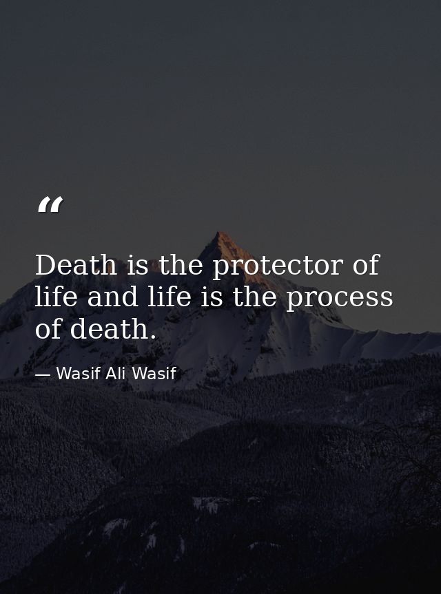 Death is the protector of life and life is the process of death. — Wasif Ali Wasif