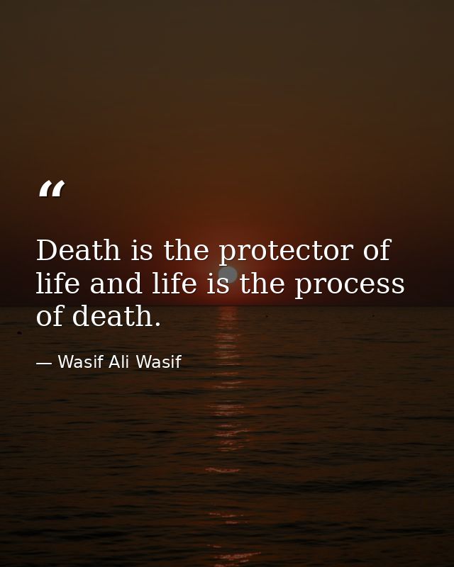 Death is the protector of life and life is the process of death. — Wasif Ali Wasif