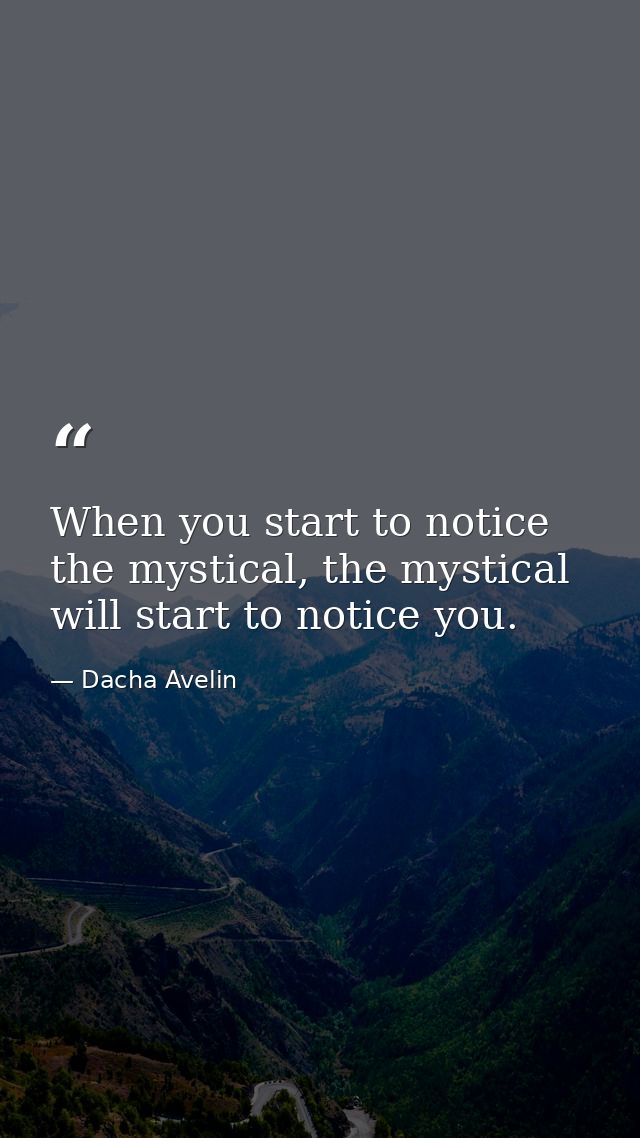 When you start to notice the mystical, the mystical will start to notice you. — Dacha Avelin