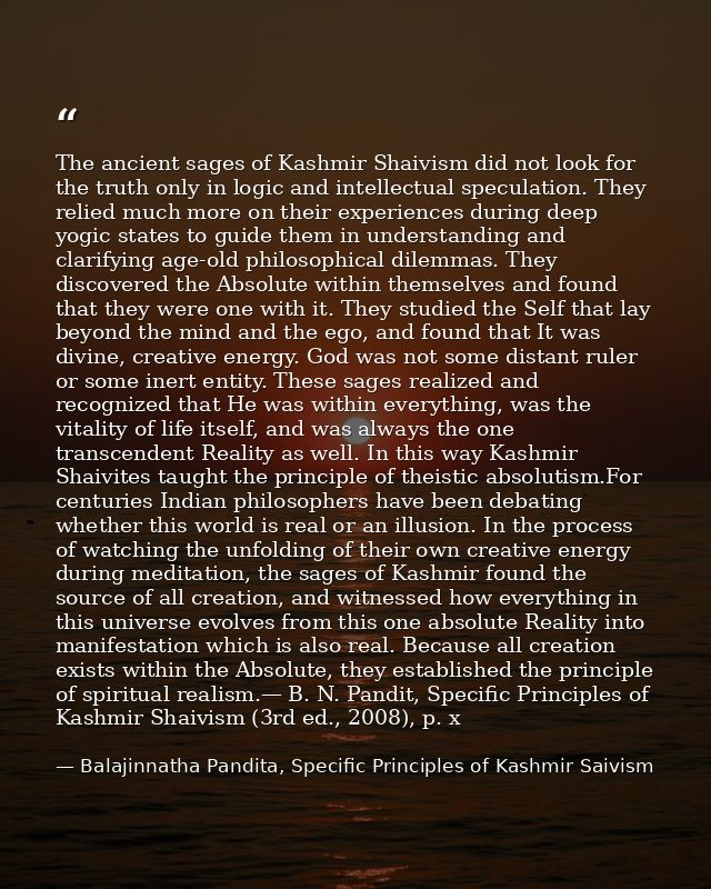 The ancient sages of Kashmir Shaivism did not look for the truth only in logic and intellectual speculation. They relied — Balajinnatha Pandita, Specific Principles of Kashmir Saivism