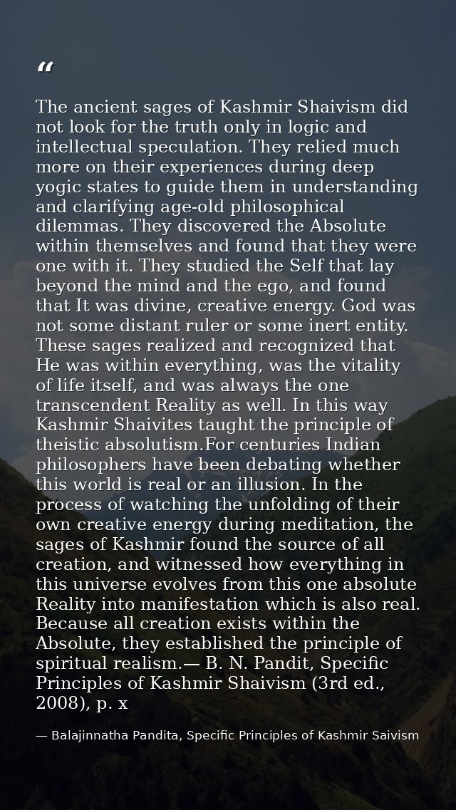 The ancient sages of Kashmir Shaivism did not look for the truth only in logic and intellectual speculation. They relied — Balajinnatha Pandita, Specific Principles of Kashmir Saivism