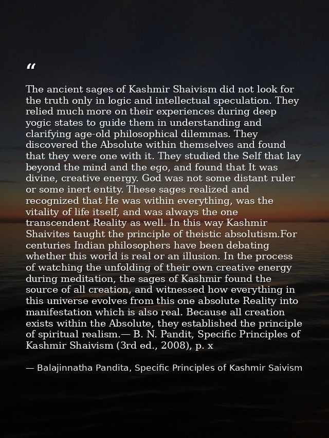 The ancient sages of Kashmir Shaivism did not look for the truth only in logic and intellectual speculation. They relied — Balajinnatha Pandita, Specific Principles of Kashmir Saivism