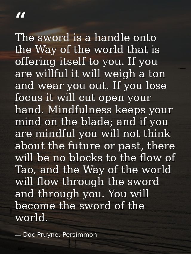 The sword is a handle onto the Way of the world that is offering itself to you. If you are willful it will weigh a ton a — Doc Pruyne, Persimmon