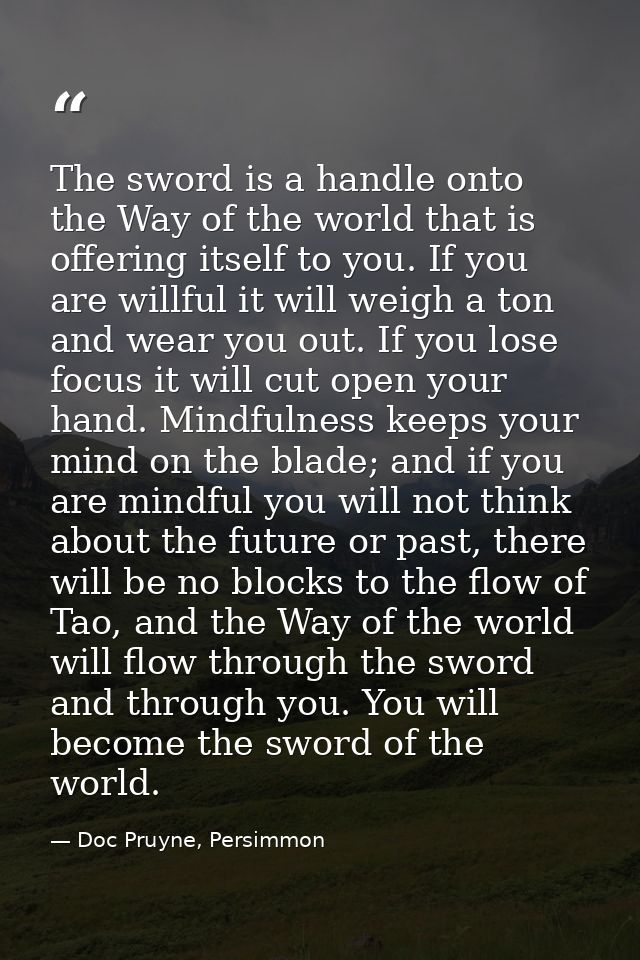 The sword is a handle onto the Way of the world that is offering itself to you. If you are willful it will weigh a ton a — Doc Pruyne, Persimmon