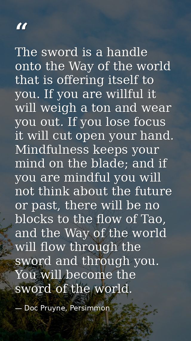 The sword is a handle onto the Way of the world that is offering itself to you. If you are willful it will weigh a ton a — Doc Pruyne, Persimmon