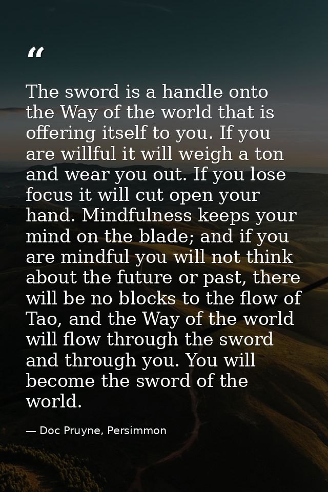 The sword is a handle onto the Way of the world that is offering itself to you. If you are willful it will weigh a ton a — Doc Pruyne, Persimmon
