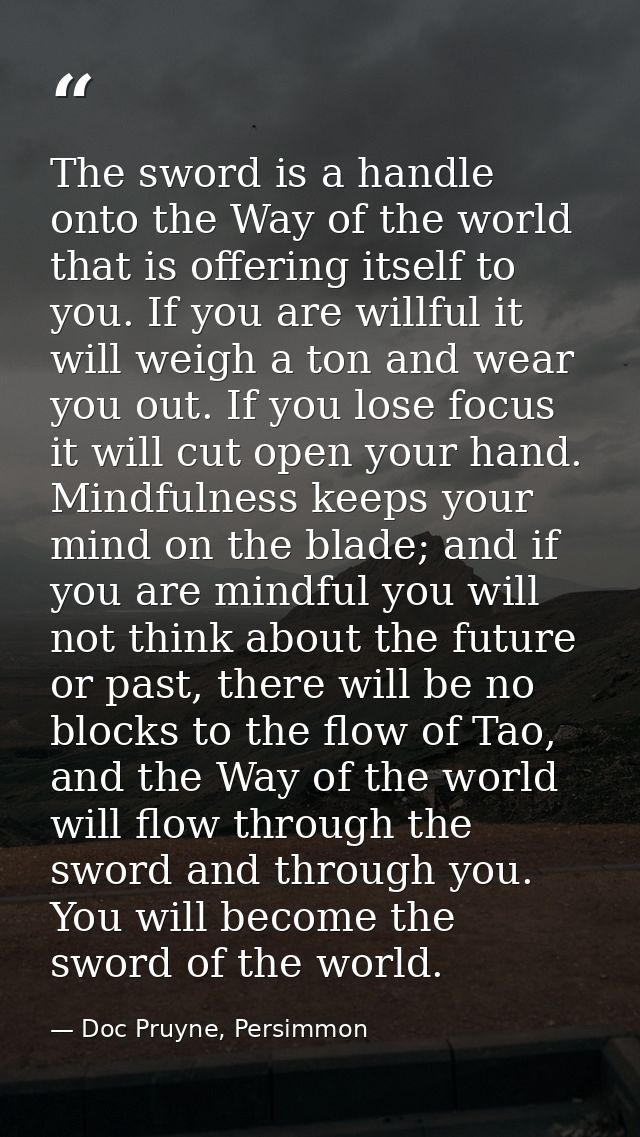 The sword is a handle onto the Way of the world that is offering itself to you. If you are willful it will weigh a ton a — Doc Pruyne, Persimmon