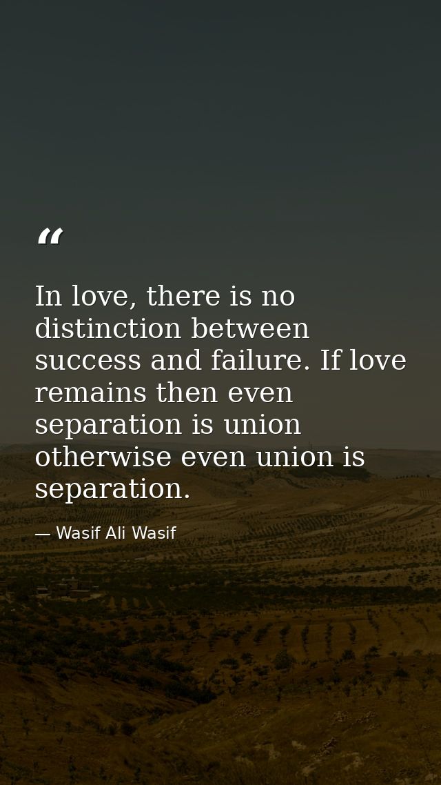 In love, there is no distinction between success and failure. If love remains then even separation is union otherwise ev — Wasif Ali Wasif