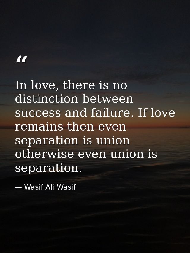 In love, there is no distinction between success and failure. If love remains then even separation is union otherwise ev — Wasif Ali Wasif