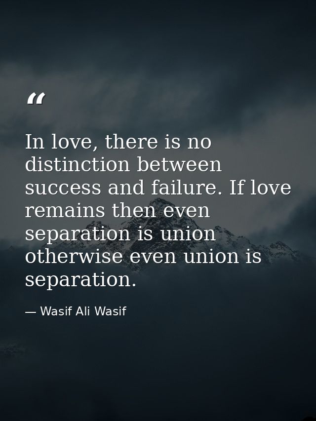 In love, there is no distinction between success and failure. If love remains then even separation is union otherwise ev — Wasif Ali Wasif