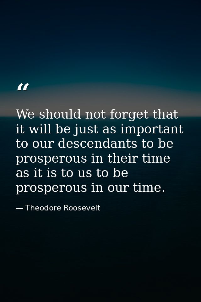 We should not forget that it will be just as important to our descendants to be prosperous in their time as it is to us  — Theodore Roosevelt