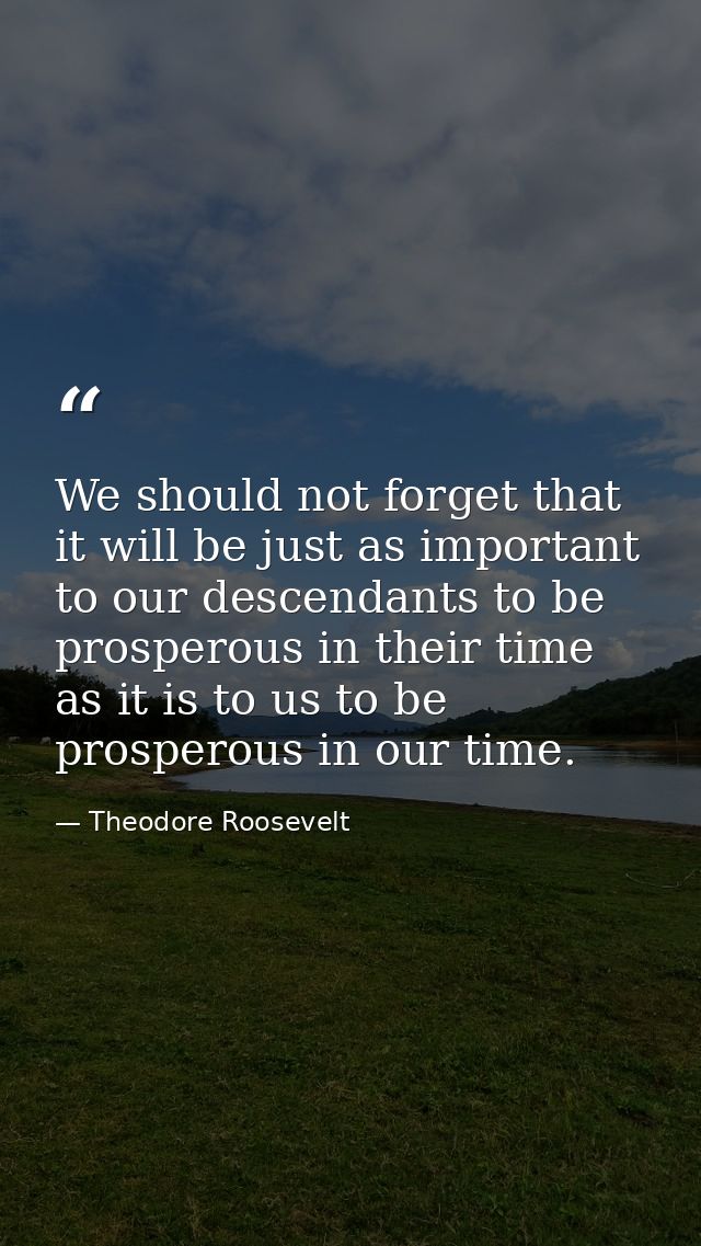 We should not forget that it will be just as important to our descendants to be prosperous in their time as it is to us  — Theodore Roosevelt