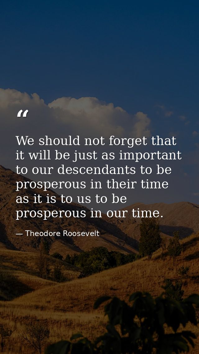 We should not forget that it will be just as important to our descendants to be prosperous in their time as it is to us  — Theodore Roosevelt