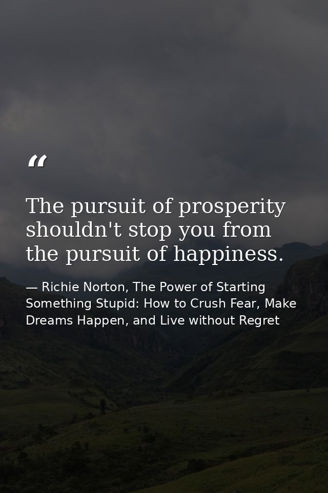 The pursuit of prosperity shouldn't stop you from the pursuit of happiness. — Richie Norton, The Power of Starting Something Stupid: How to Crush Fear, Make Dreams Happen, and Live without Regret