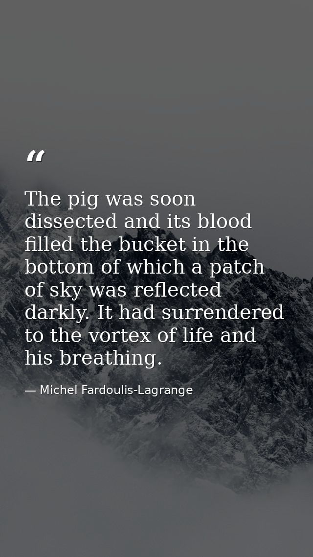 The pig was soon dissected and its blood filled the bucket in the bottom of which a patch of sky was reflected darkly. I — Michel Fardoulis-Lagrange
